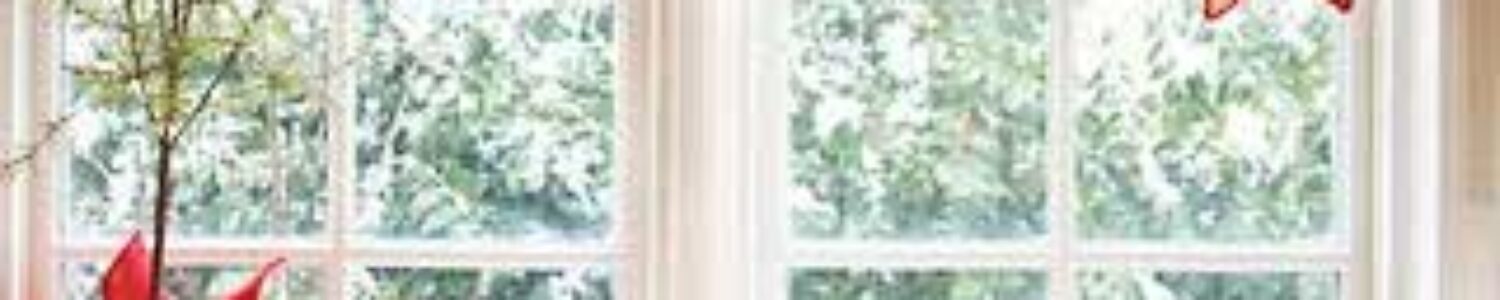 Os deseamos una Feliz Navidad